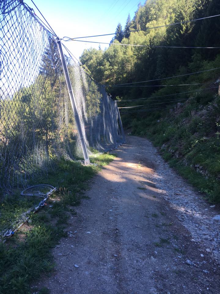 497528939-8888702614566439-3008380917744932119-n